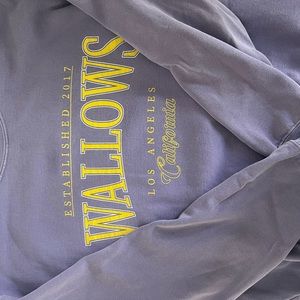 Wallows sweatshirt